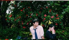 溺水小刀 在线观看,揭秘网络迷雾中的悬疑世界